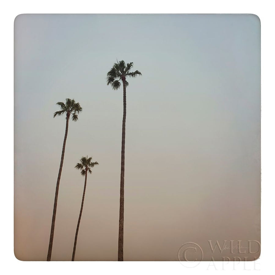 California Dreams I Poster Print by Andre Eichman-VARPDX61270 Image 1