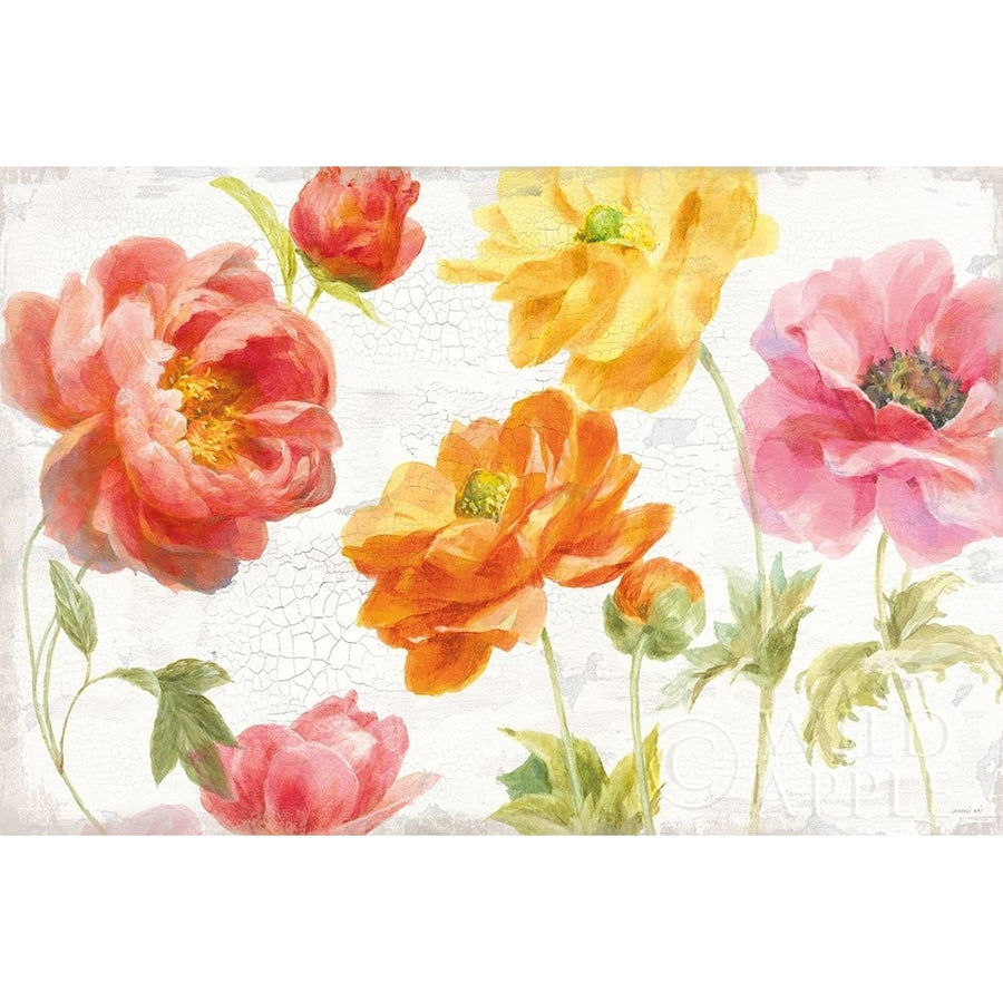 Full Bloom I Poster Print by Danhui Nai-VARPDX61367 Image 1