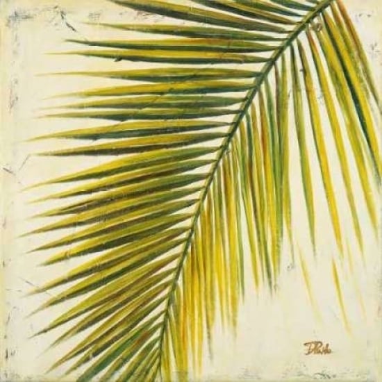 Baru Palm I Poster Print by Patricia Pinto-VARPDX6139 Image 2