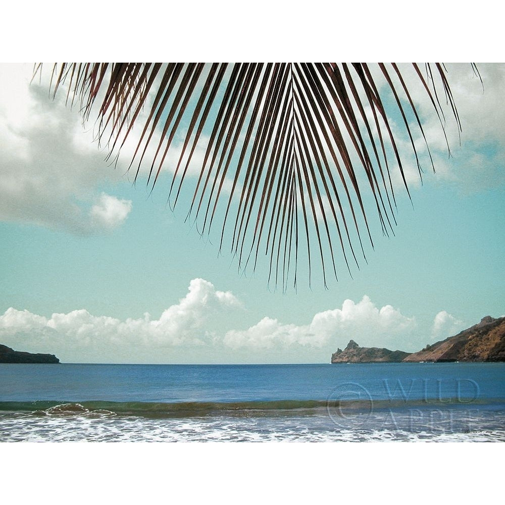 Palm Seashore Poster Print by Ed Goldstein-VARPDX61485 Image 1