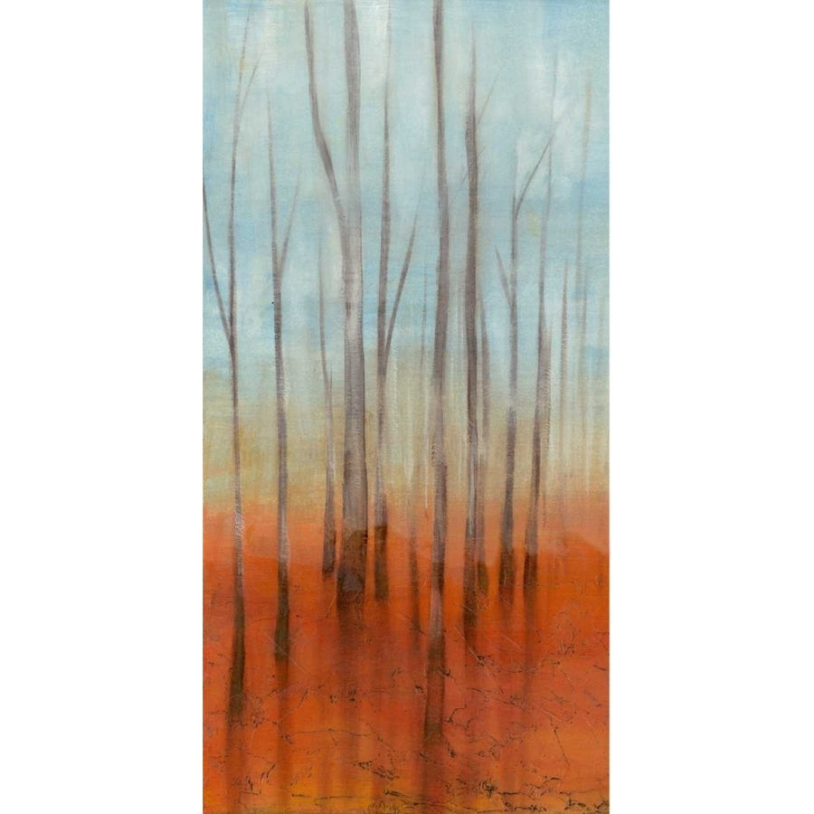 Birch Forest I Poster Print - Jennifer Goldberger-VARPDX61813FN Image 1