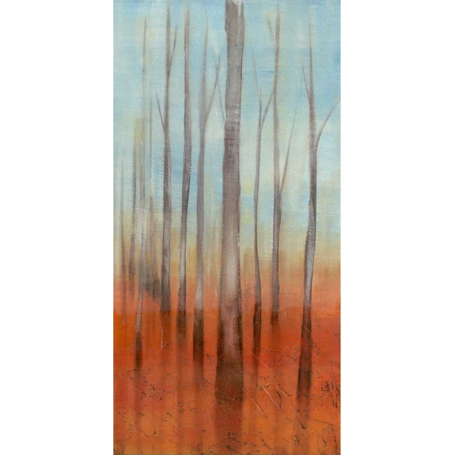 Birch Forest II Poster Print - Jennifer Goldberger-VARPDX61814FN Image 1