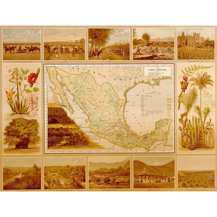 Agricultural Map of Mexico by Vintage Maps-VARPDX61884 Image 1