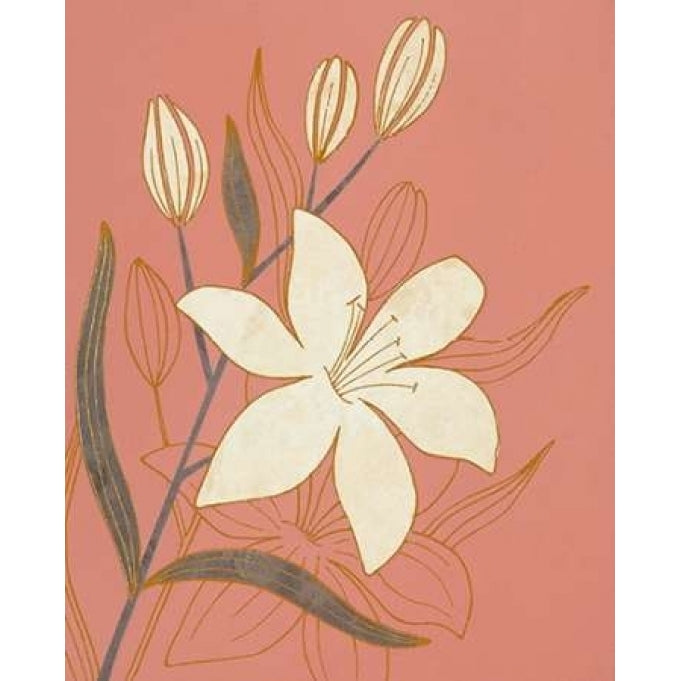 Terra Cotta Lillies I Poster Print by Design Show-VARPDX62128 Image 1