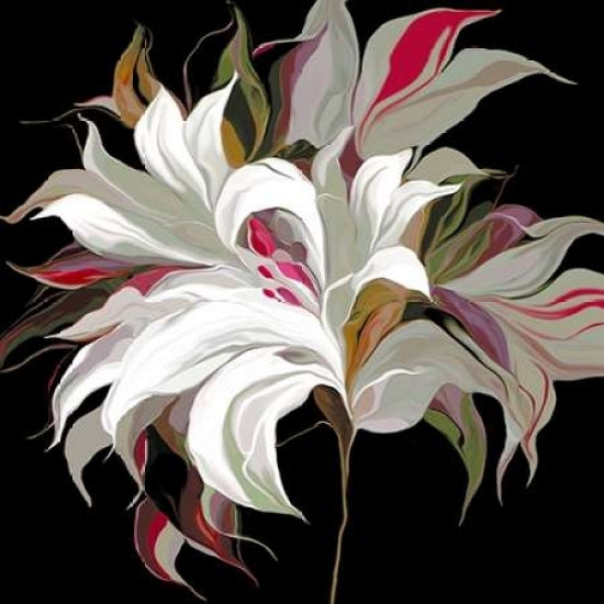 Lily Xx Poster Print by Sally Scaffardi-VARPDX62155 Image 1