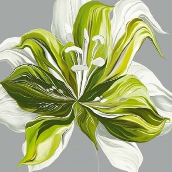 Spring Greens II Poster Print by Sally Scaffardi-VARPDX62170 Image 1