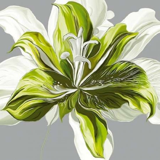 Spring Greens I Poster Print by Sally Scaffardi-VARPDX62169 Image 1