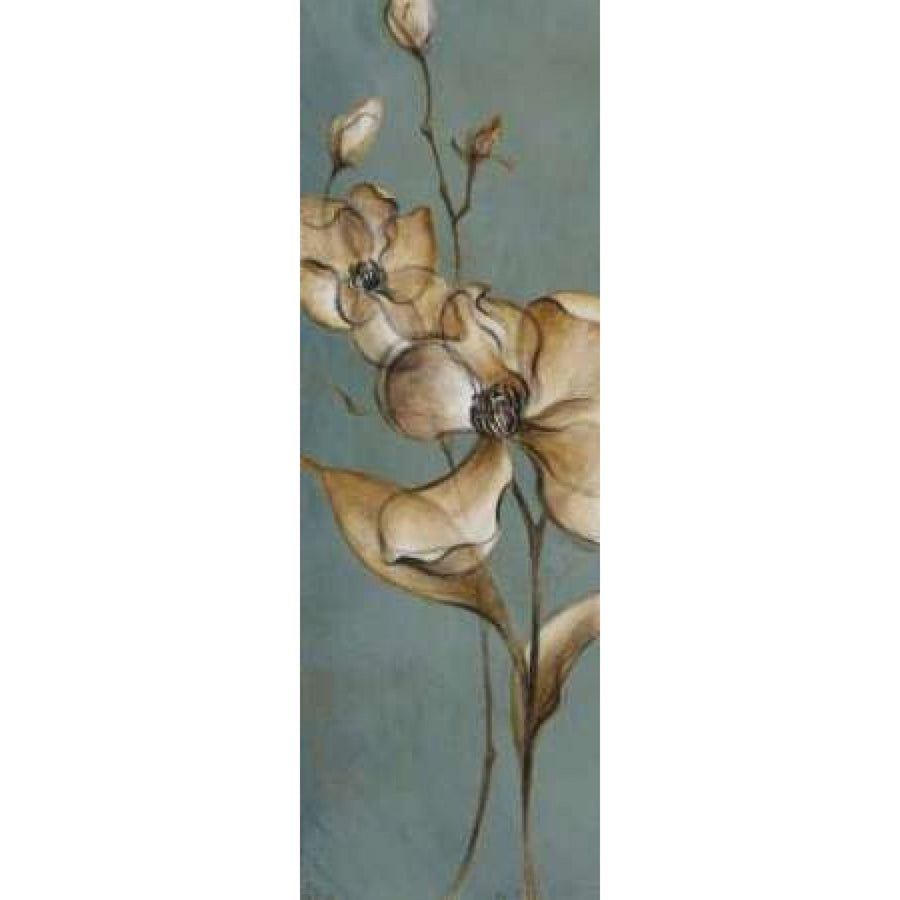 Translucent Magnolias Poster Print by Lanie Loreth-VARPDX6217A Image 1