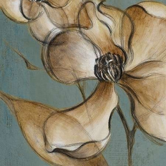 Translucent Magnolias Poster Print by Lanie Loreth-VARPDX6217B Image 1