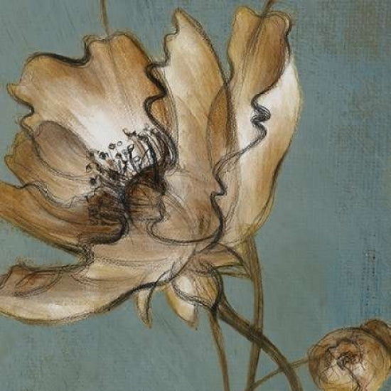 Translucent Poppies Poster Print by Lanie Loreth-VARPDX6218B Image 1