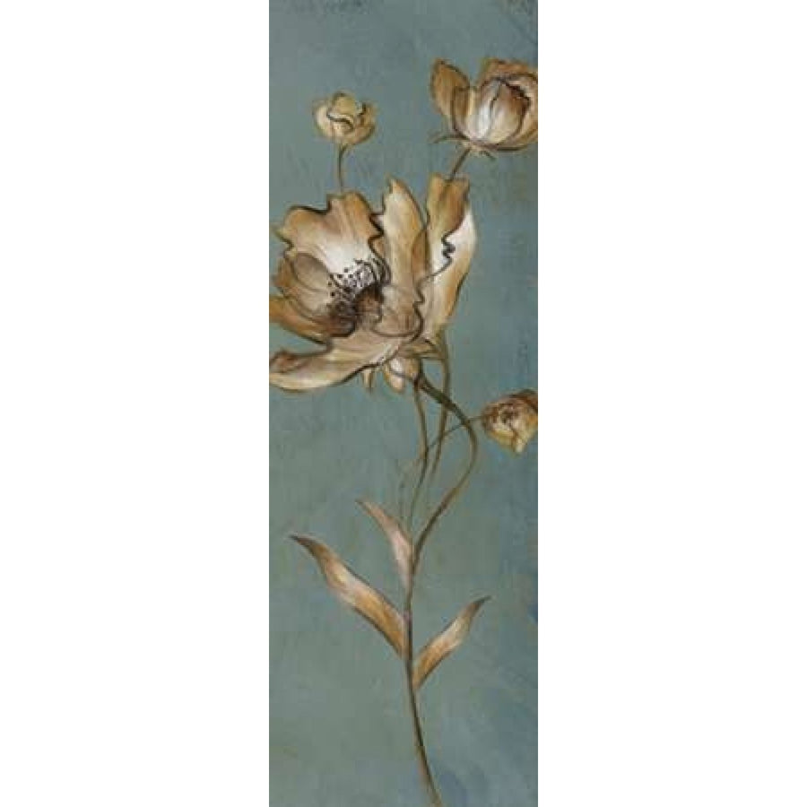 Translucent Poppies Poster Print by Lanie Loreth-VARPDX6218A Image 1