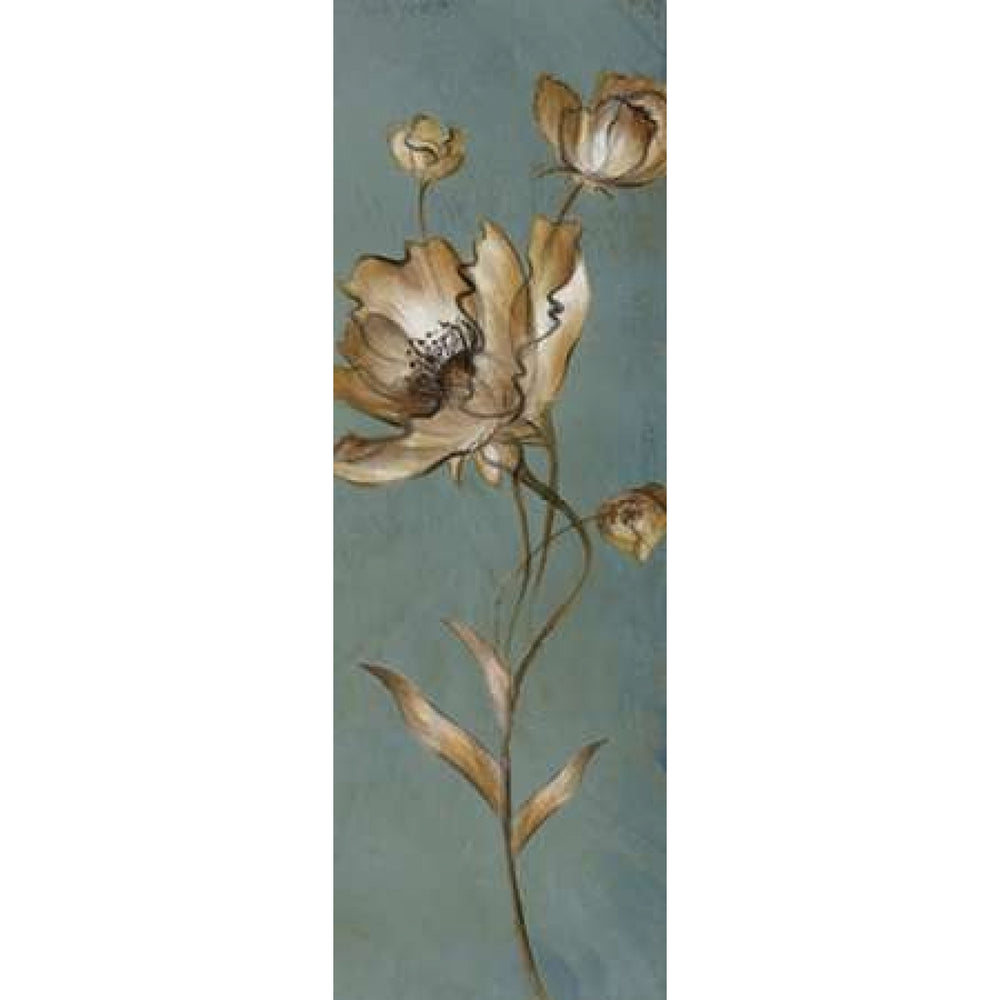 Translucent Poppies Poster Print by Lanie Loreth-VARPDX6218A Image 2