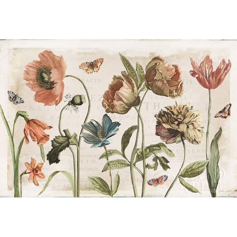 Antiquarian Blooms I Poster Print by Katie Pertiet-VARPDX62240 Image 1