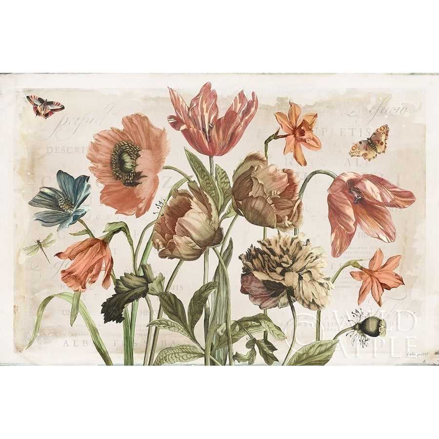 Antiquarian Blooms II Poster Print by Katie Pertiet-VARPDX62241 Image 1