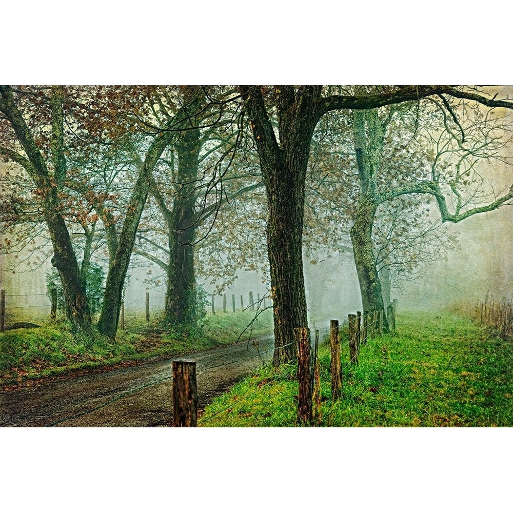 Morning on Sparks Lane IV Poster Print - Danny Head-VARPDX62251Z Image 1