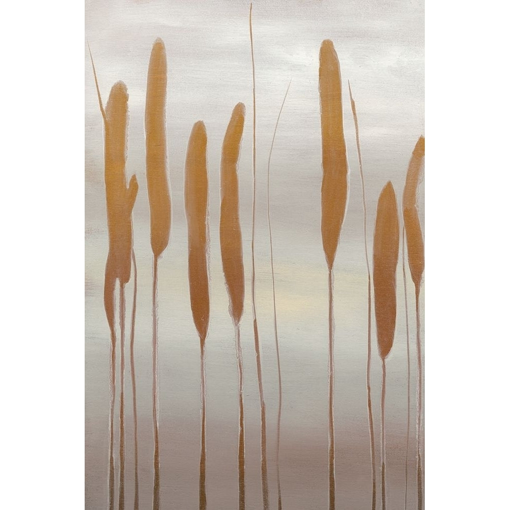 Reeds and Leaves II Poster Print - Jennifer Goldberger-VARPDX62276FN Image 1