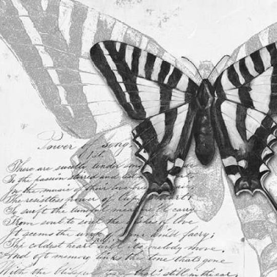 Butterflies Studies II Poster Print by Patricia Pinto-VARPDX6230C Image 1