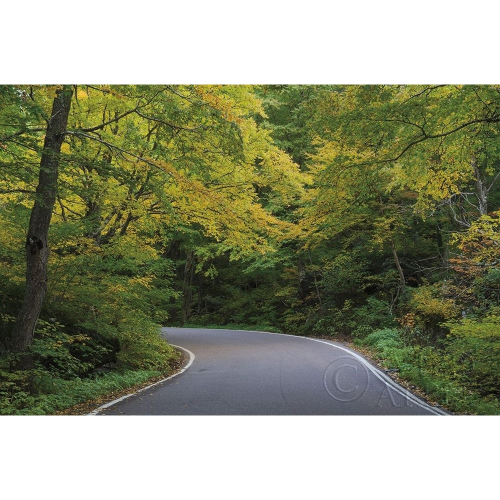 Smugglers Notch Road Poster Print by Alan Majchrowicz-VARPDX62467 Image 1