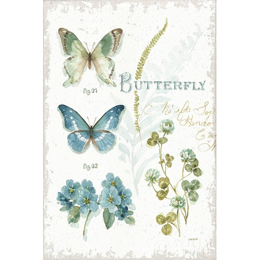 My Greenhouse Botanical Butterfly Poster Print by Lisa Audit-VARPDX63182 Image 1