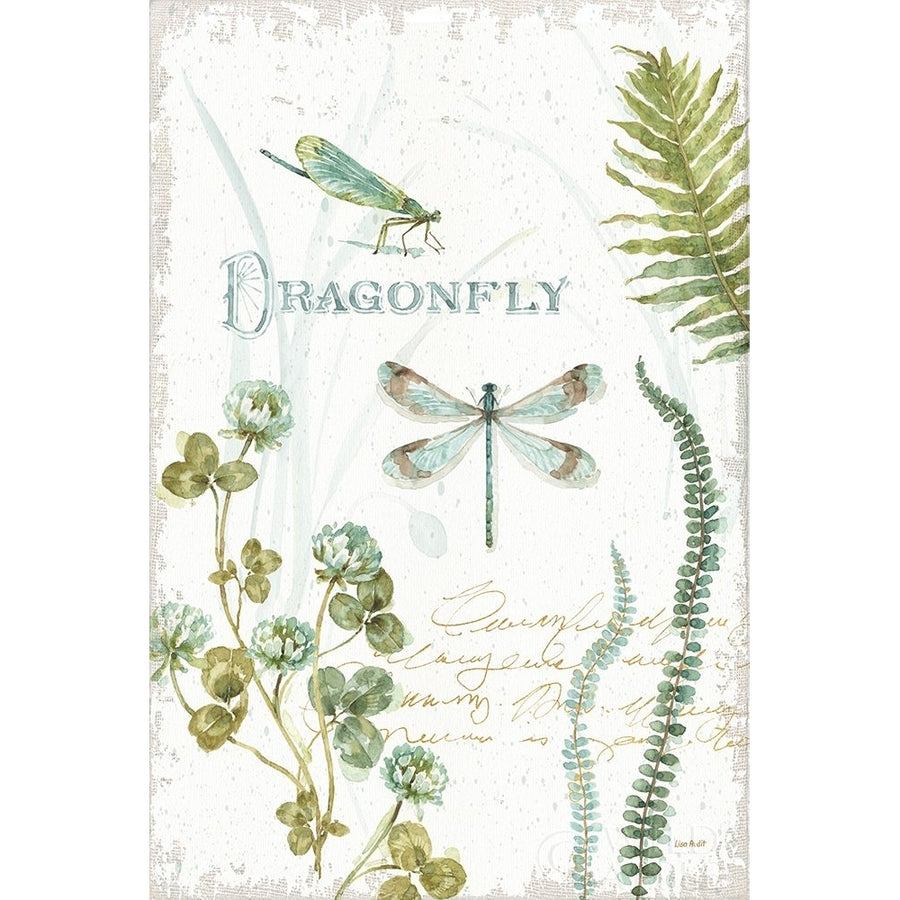 My Greenhouse Botanical Dragonfly Poster Print by Lisa Audit-VARPDX63181 Image 1