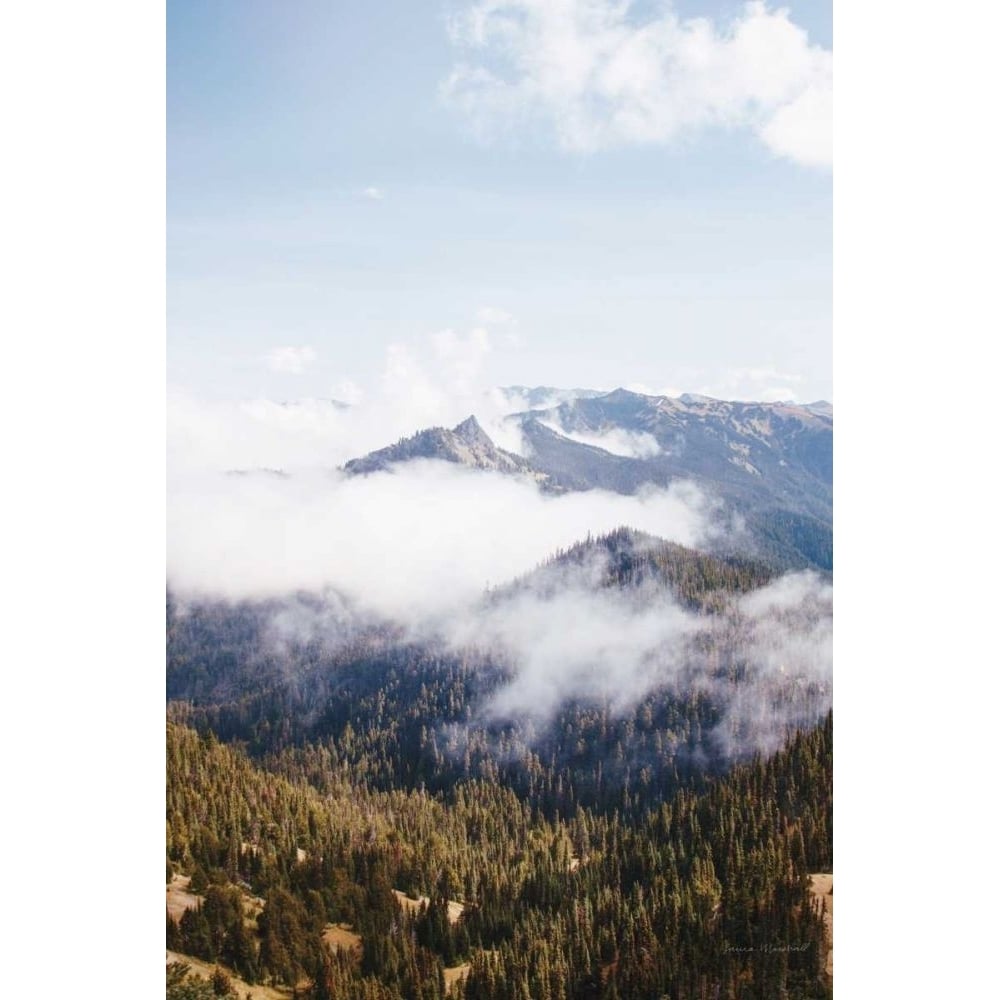 Hurricane Ridge I by Laura Marshall-VARPDX63265 Image 1