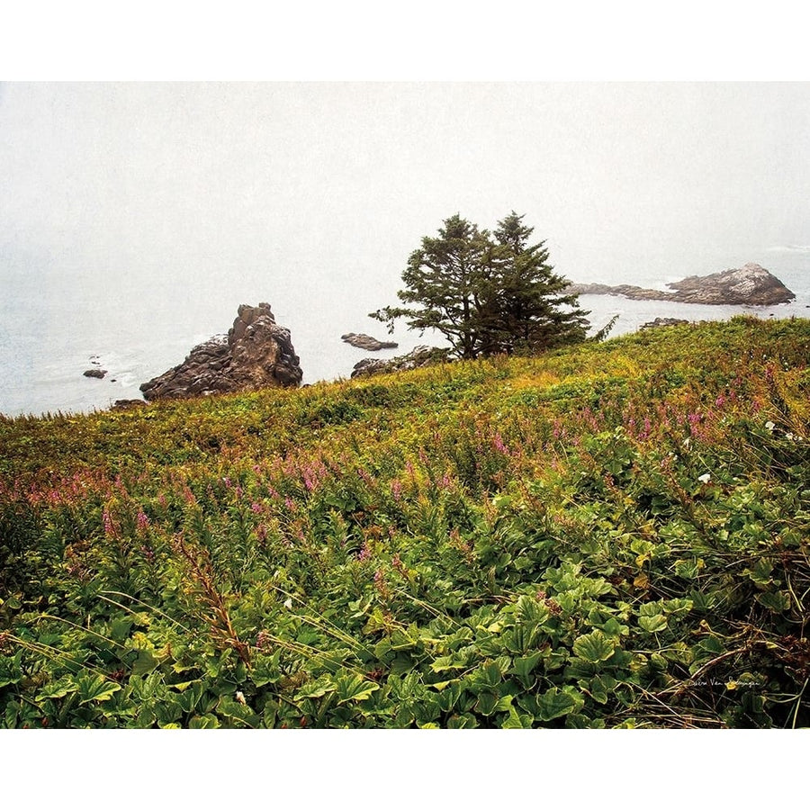 Oregon Coast Poster Print by Debra Van Swearingen-VARPDX63369 Image 1