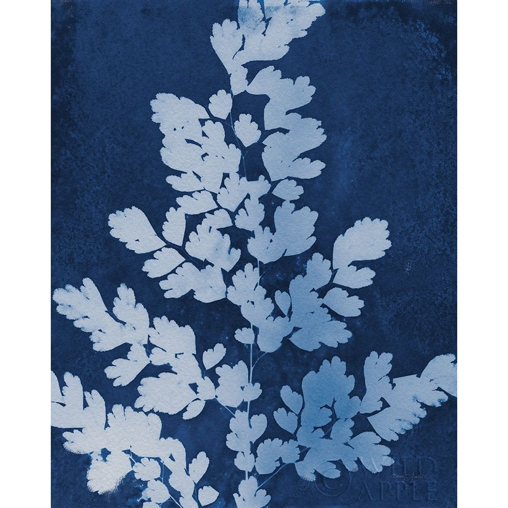 Enchanted Cyanotype VII Poster Print by Nancy Green-VARPDX63383 Image 1