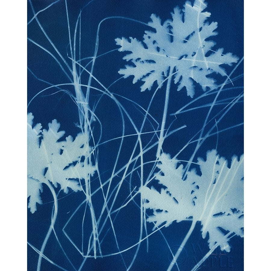 Enchanted Cyanotype IV Poster Print by Nancy Green-VARPDX63380 Image 1