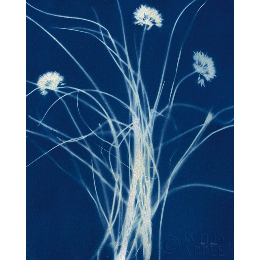 Enchanted Cyanotype II Poster Print by Nancy Green-VARPDX63378 Image 1