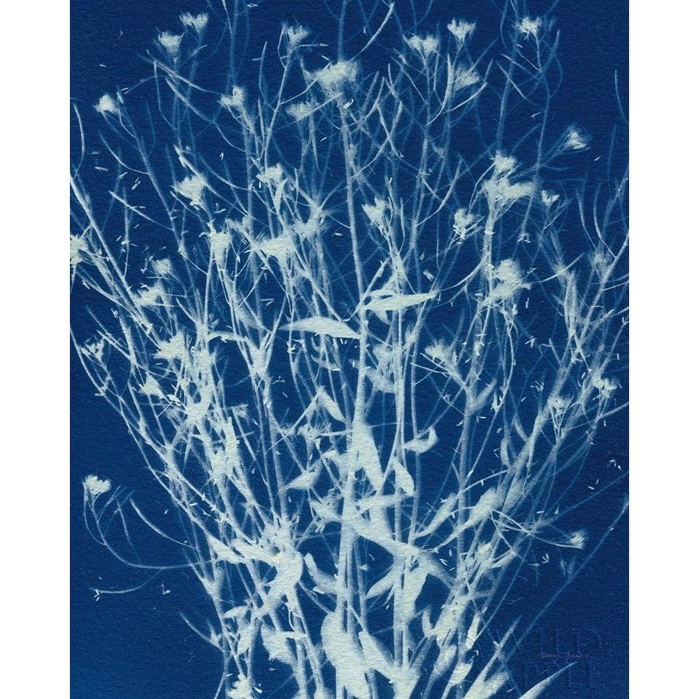 Enchanted Cyanotype III Poster Print by Nancy Green-VARPDX63379 Image 1