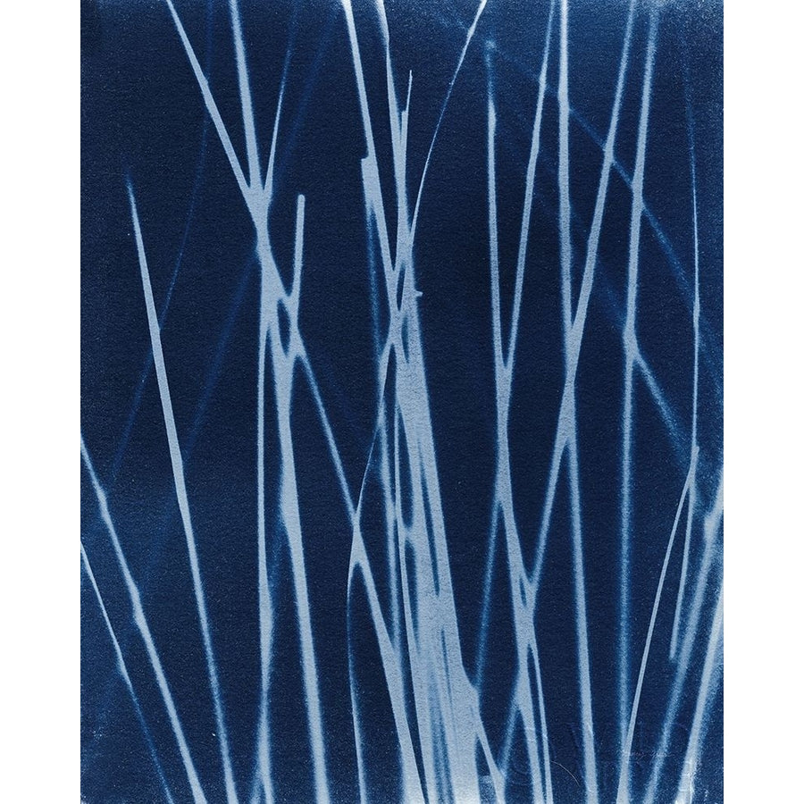 Enchanted Cyanotype X Poster Print by Nancy Green-VARPDX63386 Image 1