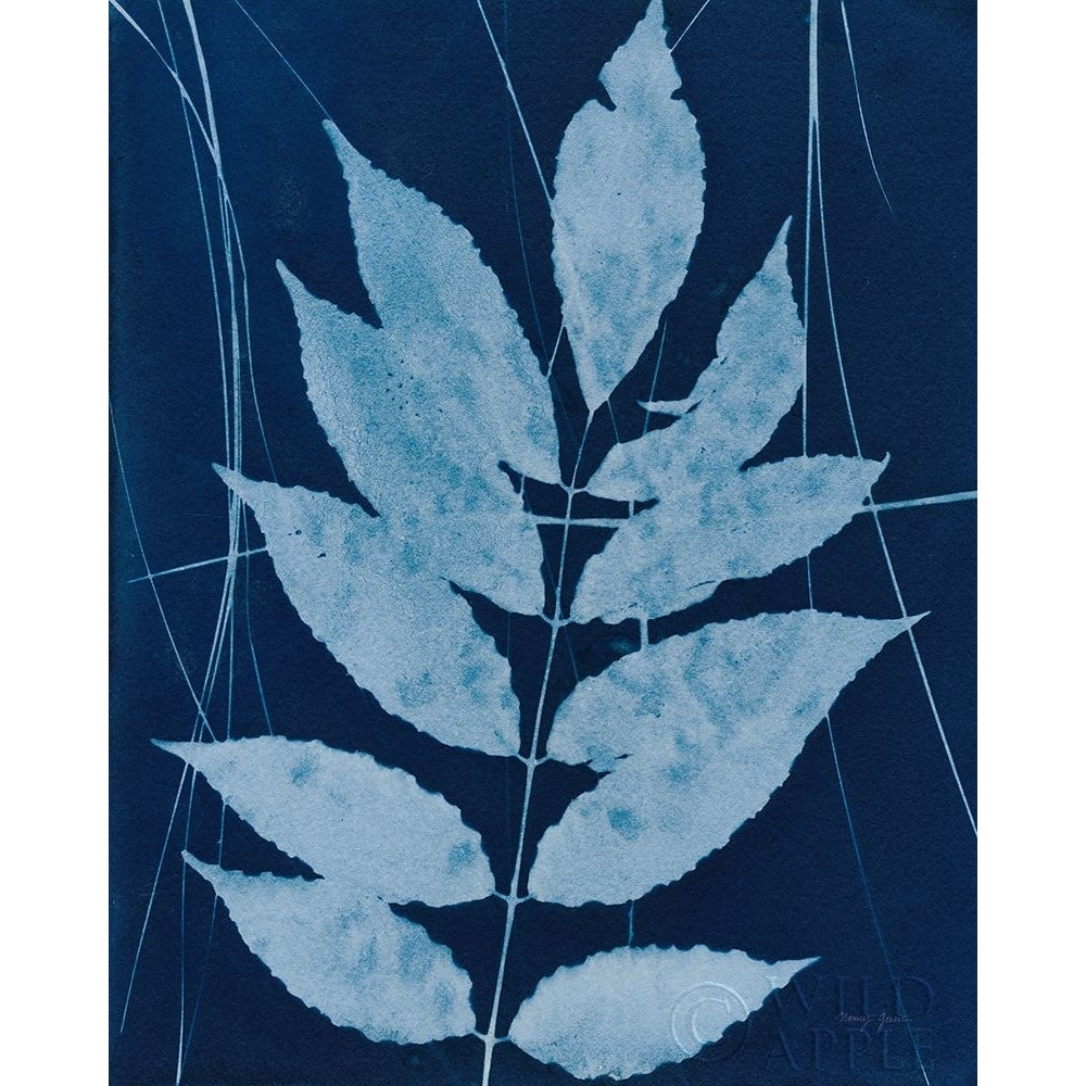 Enchanted Cyanotype IX Poster Print by Nancy Green-VARPDX63385 Image 1