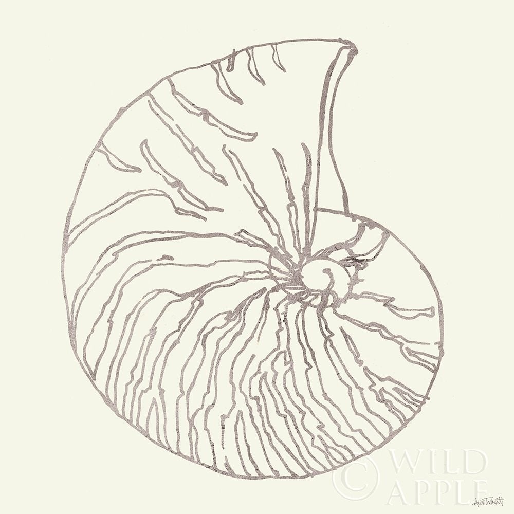 Coastal Breeze Shell Sketches VII Silver Poster Print by Anne Tavoletti-VARPDX63511 Image 1