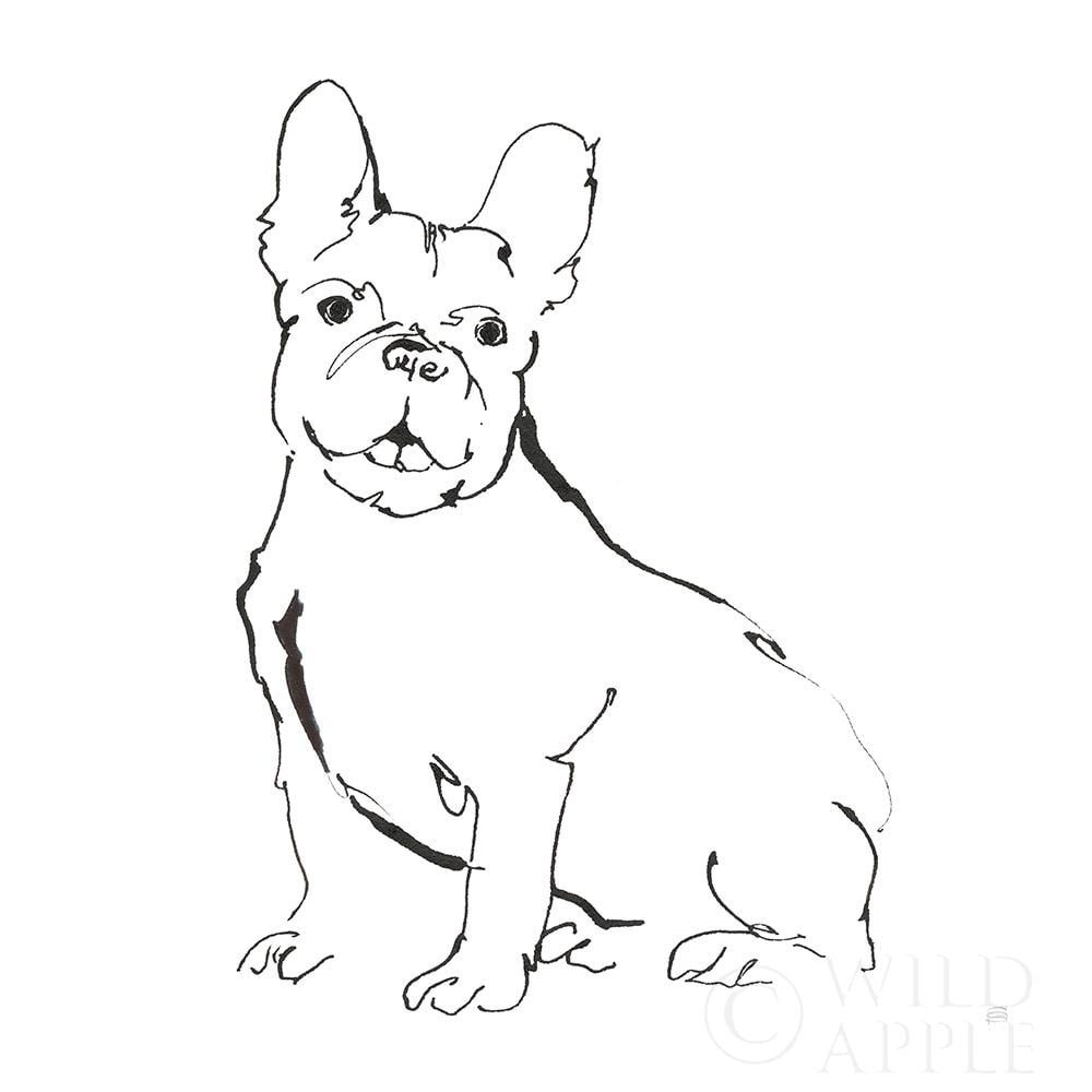 Line Dog French Bulldog II Poster Print by Chris Paschke-VARPDX63552 Image 1