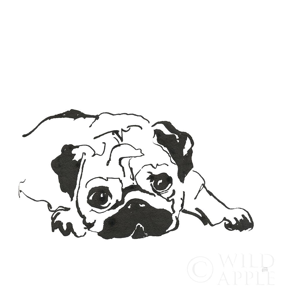 Line Dog Pug II Poster Print by Chris Paschke-VARPDX63555 Image 1