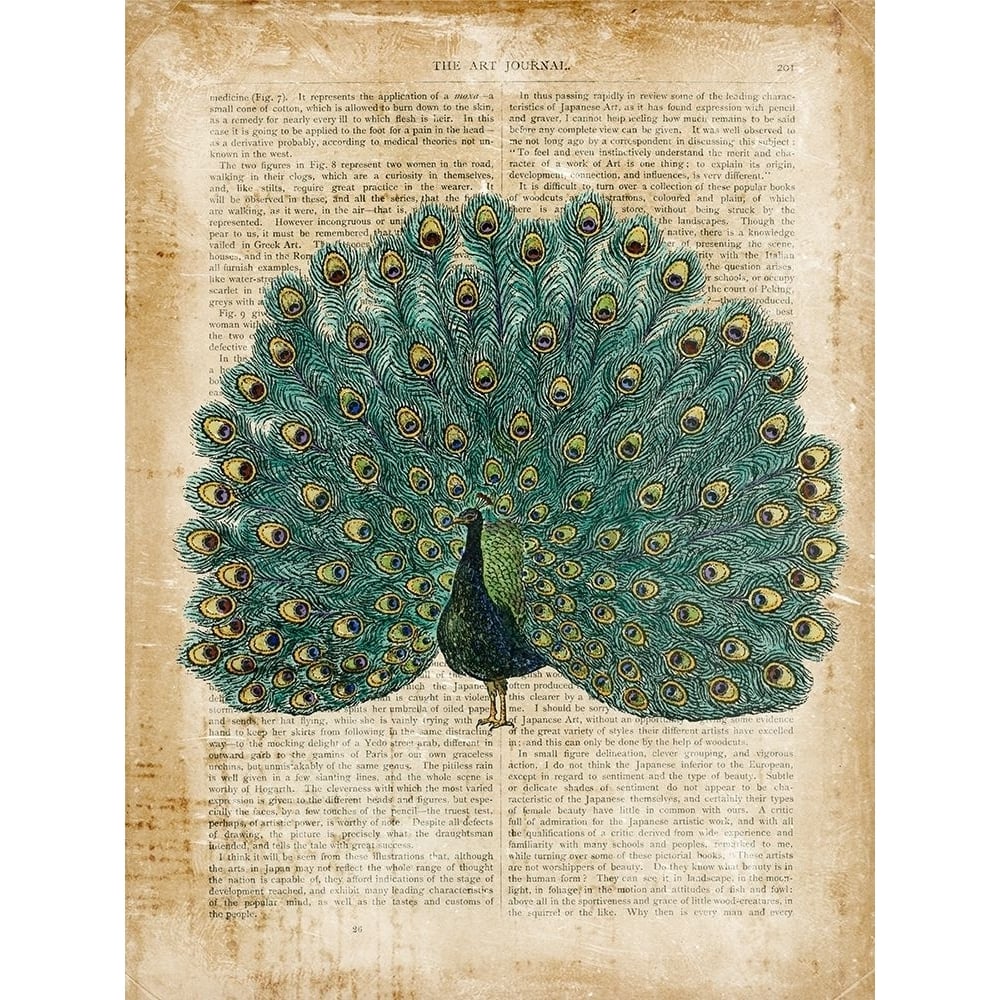 Antiquarian Birds V Poster Print - Studio Vision-VARPDX63717Z Image 1