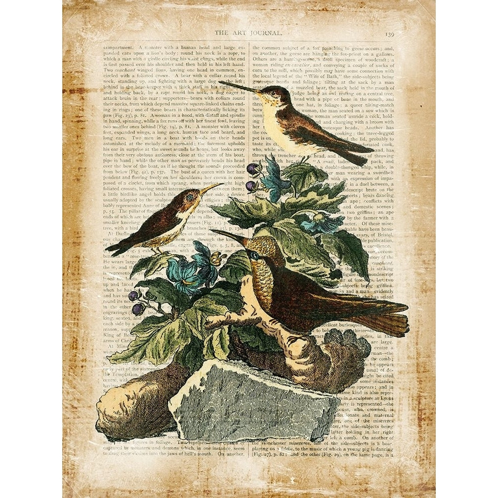 Antiquarian Birds IV Poster Print - Studio Vision-VARPDX63716Z Image 1