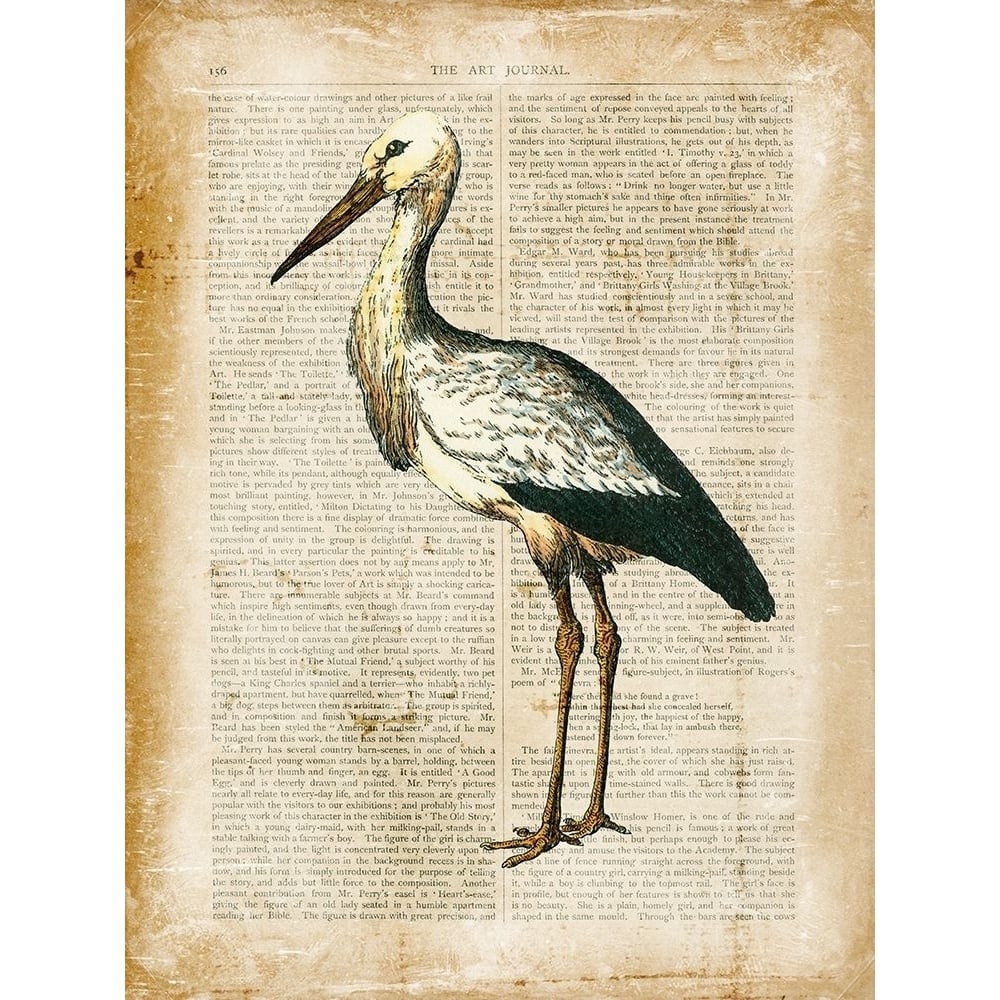 Antiquarian Birds II Poster Print - Studio Vision-VARPDX63714Z Image 1