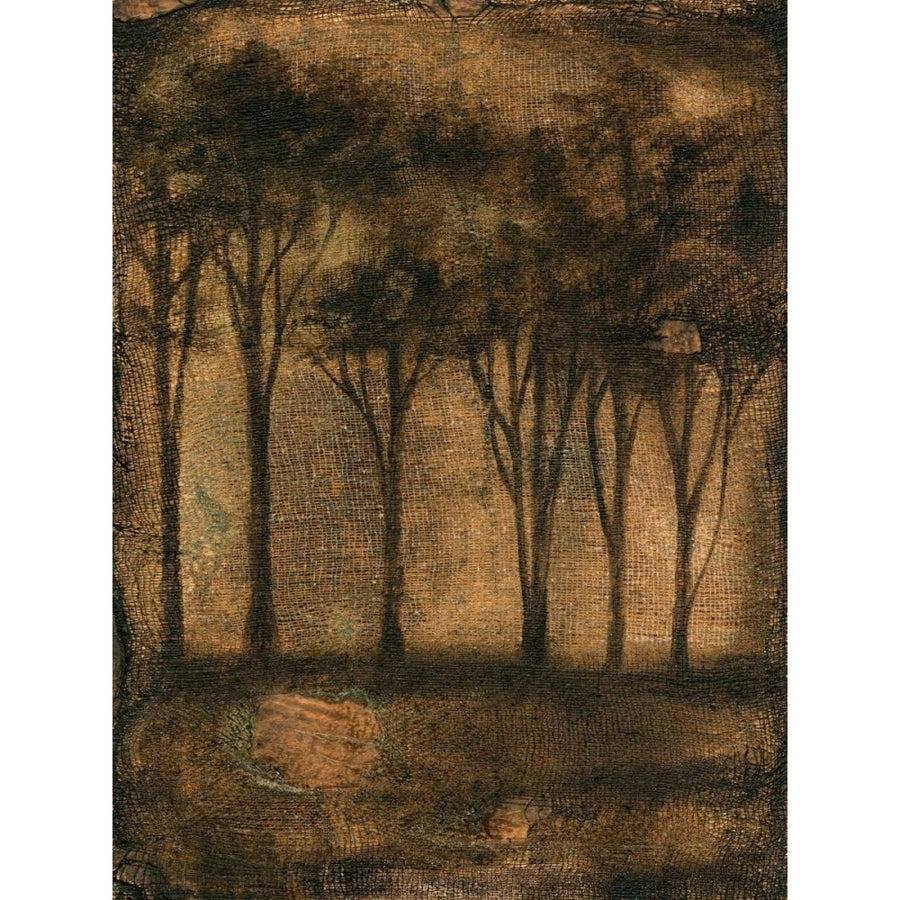 Bronzed Treeline I Poster Print - Jennifer Goldberger-VARPDX63805FN Image 1