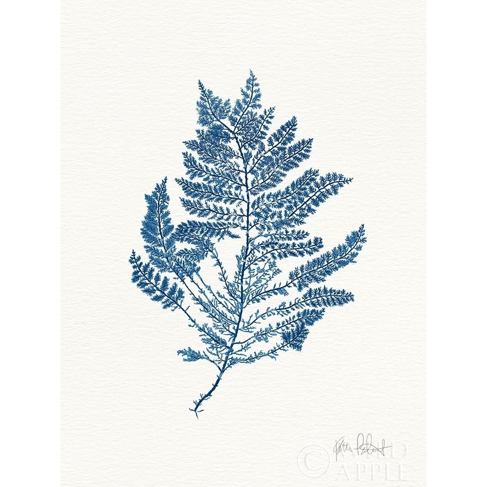 Sea Garden III Royal Blue Poster Print by Katie Pertiet-VARPDX63920 Image 1