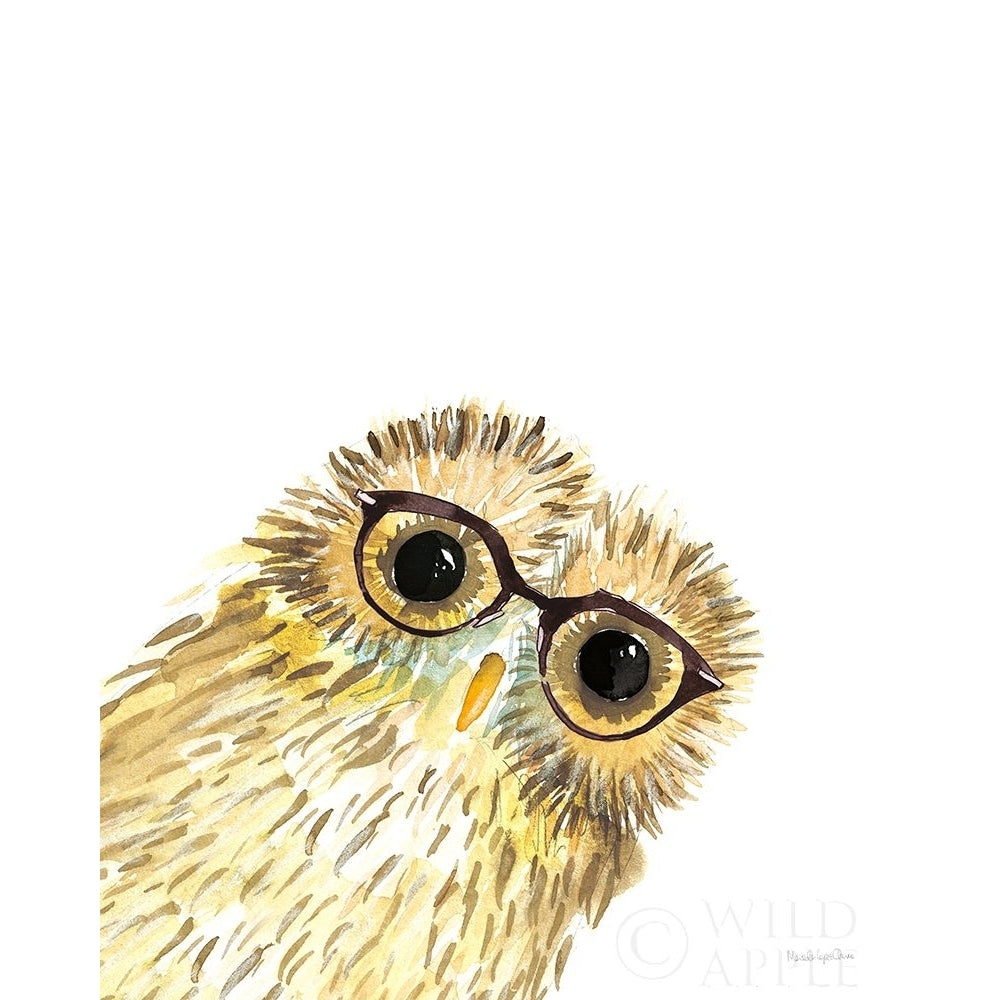 Owl in Glasses Poster Print by Mercedes Lopez Charro-VARPDX64168 Image 1