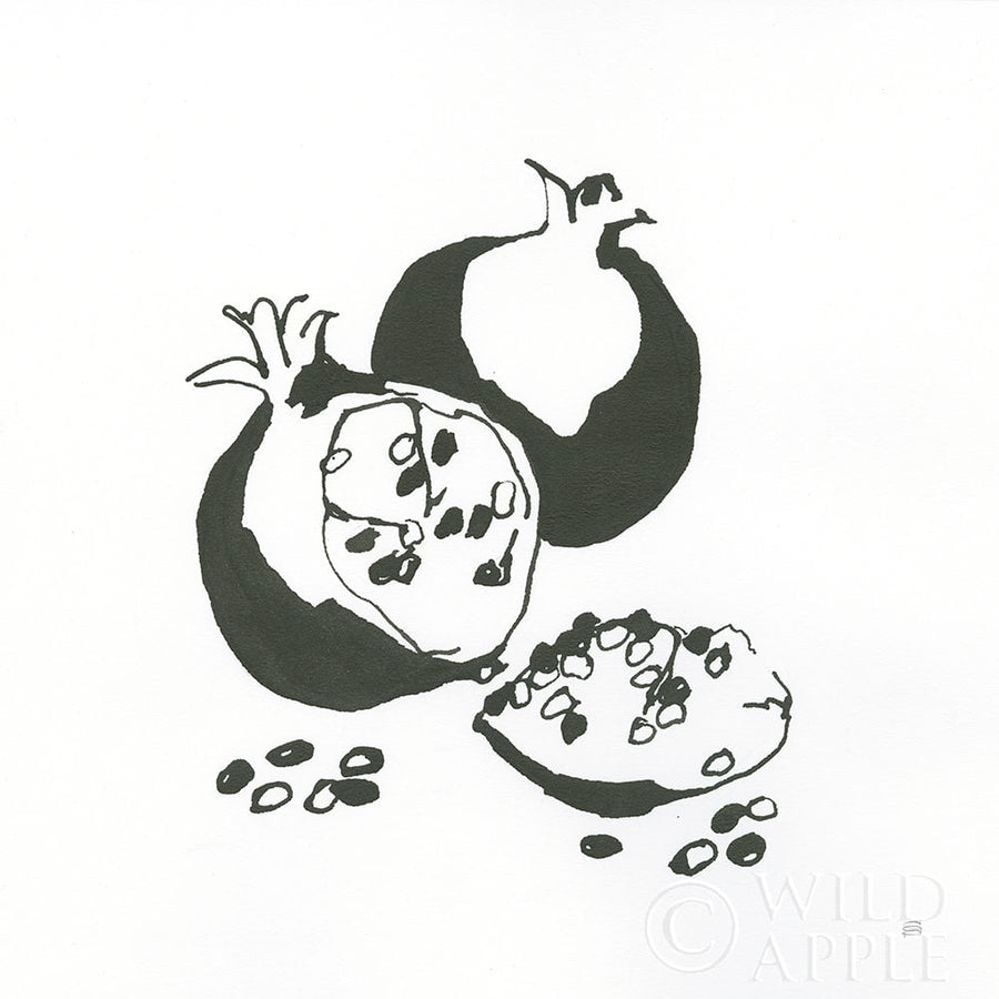 Pomegranate II BW Poster Print by Chris Paschke-VARPDX64224 Image 1