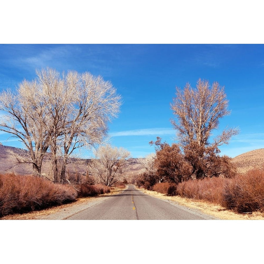 Road in California by Carol Highsmith-VARPDX64426 Image 1