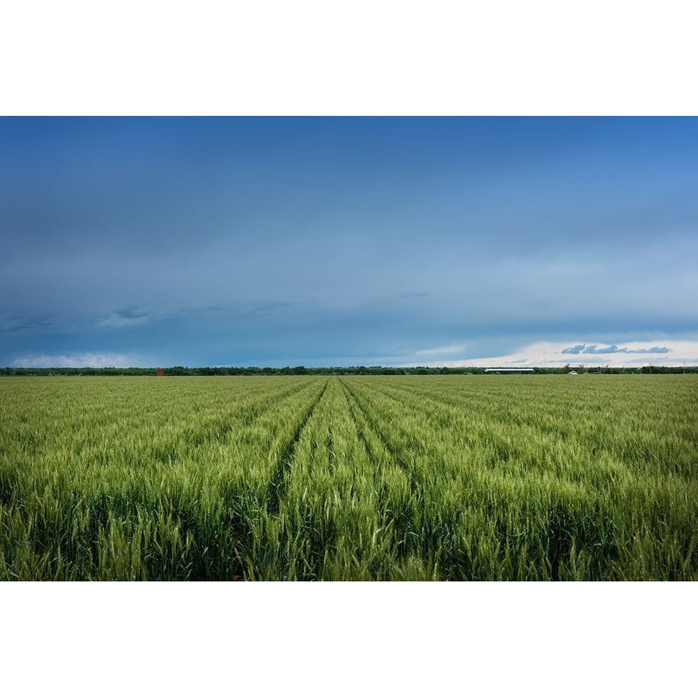 Rural Otero County-Colorado by Carol Highsmith-VARPDX64553 Image 1