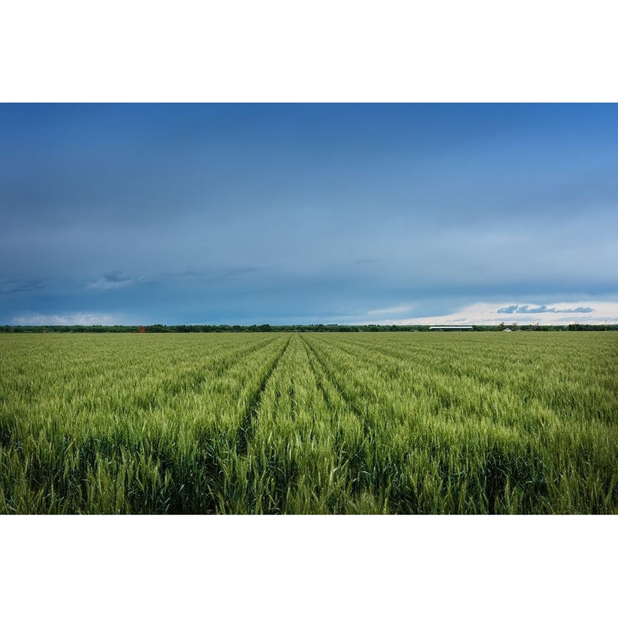 Rural Otero County-Colorado by Carol Highsmith-VARPDX64553 Image 1