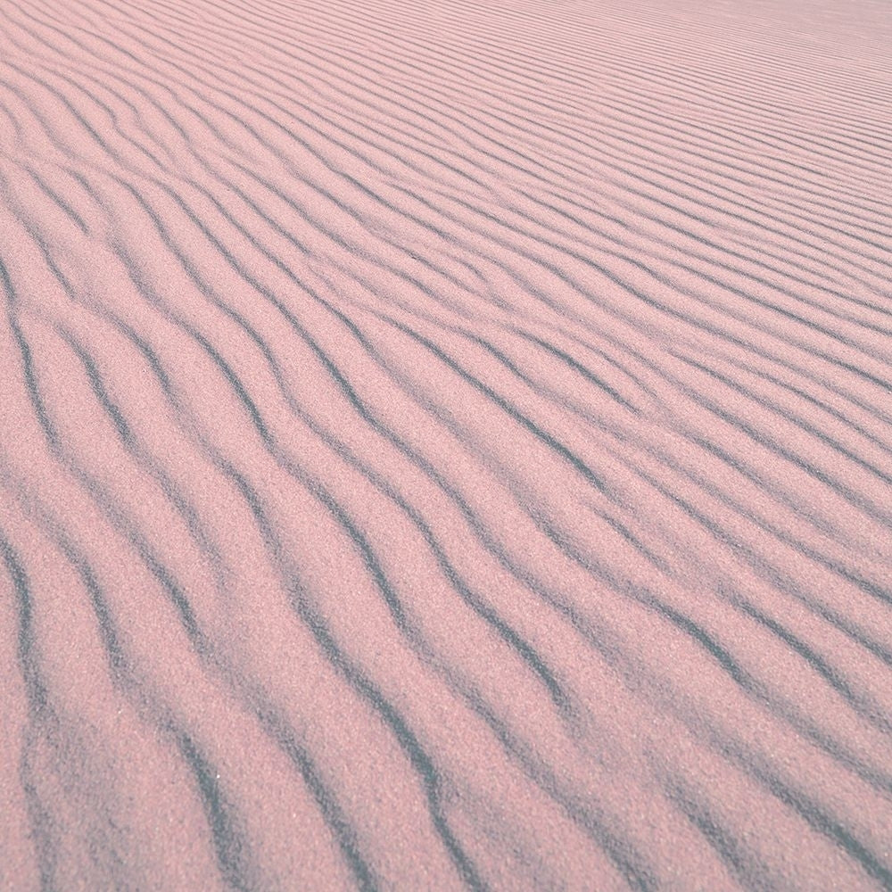 Great Sand Dunes National Monument and Preserve-Colorado by Carol Highsmith-VARPDX64549 Image 1