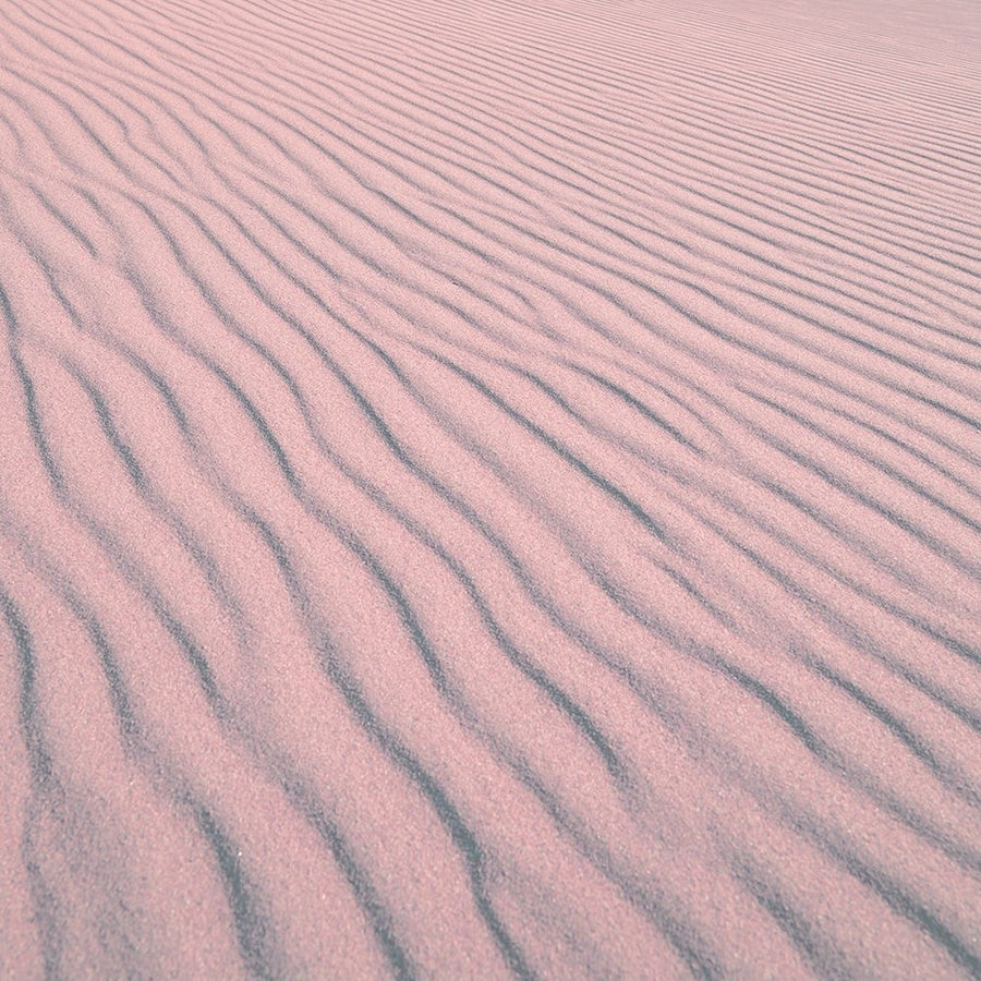 Great Sand Dunes National Monument and Preserve-Colorado by Carol Highsmith-VARPDX64549 Image 1