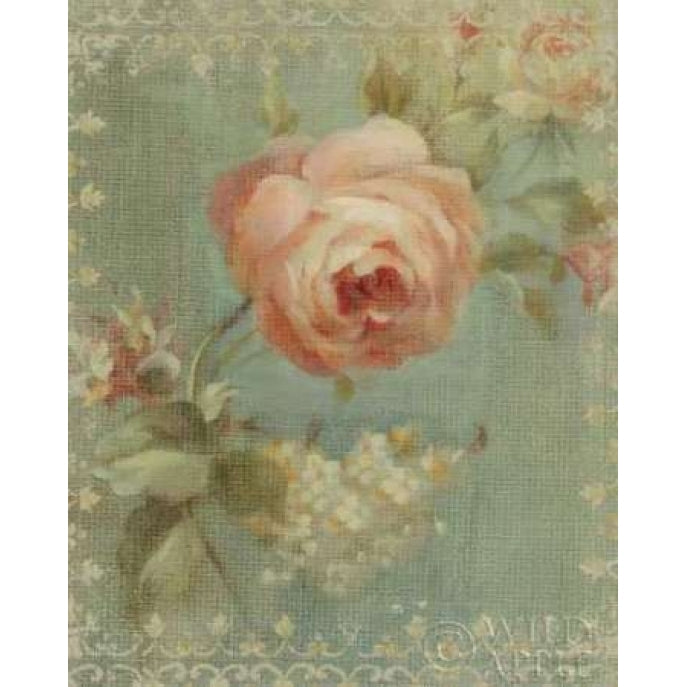 Rose on Sage Poster Print by Danhui Nai-VARPDX6459 Image 1