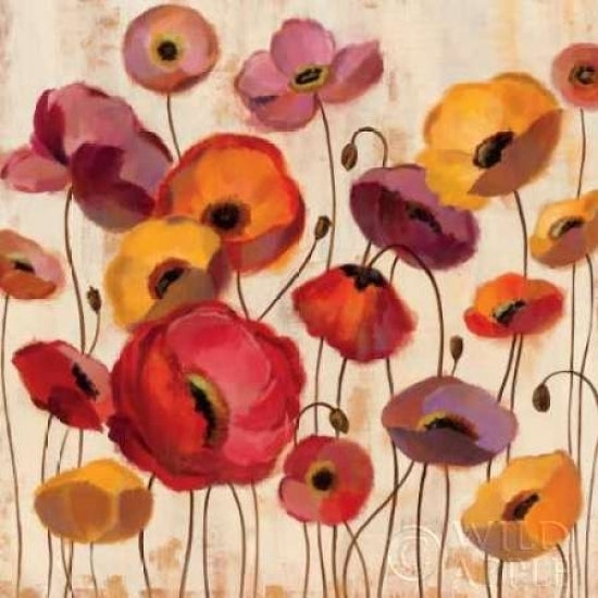 Sunrise Anemones Poster Print by Silvia Vassileva-VARPDX6458 Image 1