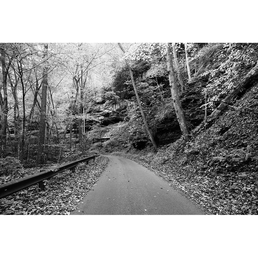 Picturesque road to Nuttallburg Poster Print - Carol Highsmith-VARPDX64623 Image 1